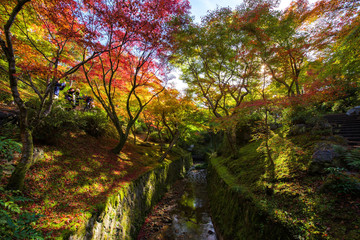 Tofuku-ji temple garden at Fall, Kyoto