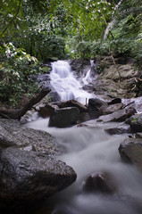 water fall in rainforest