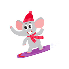 Cute little elephant character snowboarding in hat and scarf, winter activity, cartoon vector illustration isolated on white background. Little baby elephant animal character snowboarding in winter