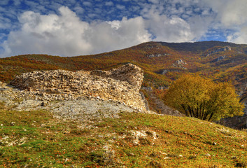 Fototapeta na wymiar Beautiful landscape in the mountain with colorful autumn forest