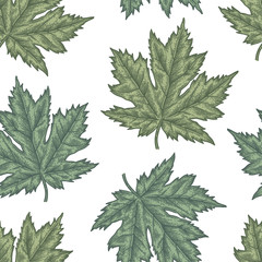 Engraving seamless pattern of maple leaves and seeds