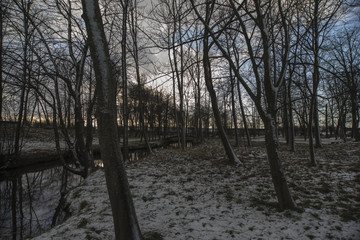 winter and ice times