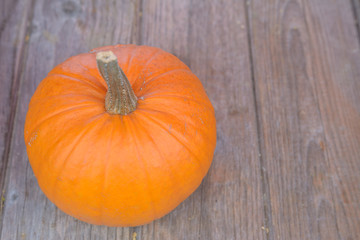 Kürbis auf holz Hintergrund 