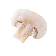 White champignon mushrooms, Champignon Isolated on White Background