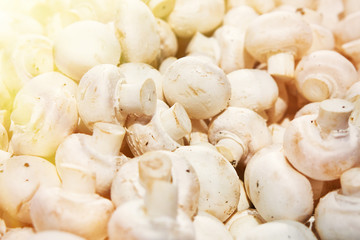 Delicious fresh mushrooms on the counter in the shop. Toned.