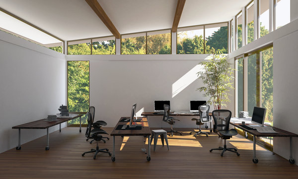 Contemporary, bright empty eco office workspace