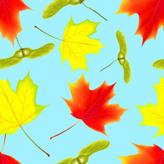 Seamless pattern with autumn maple falling leaves on isolated blue background. Falling leaves. Vector illustration