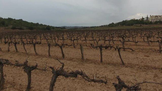 Vi&ntilde;as 2