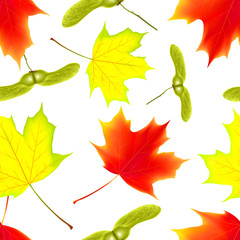 Seamless pattern with autumn maple falling leaves on isolated white background. Falling leaves. Vector illustration