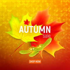 Sales banner with maple autumn leaves. Autumn maple leaf on a orange background. Vector illustration