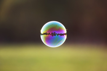 beautiful iridescent soap bubble with reflection landscape flies by sundown