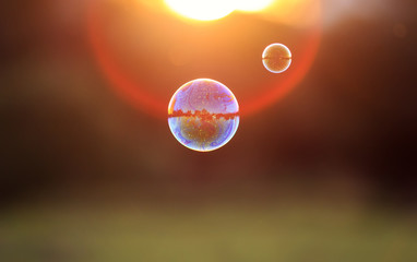 beautiful iridescent soap bubbles with reflection landscape flies to sunset over summer meadow