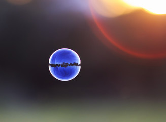 iridescent soap bubble with reflection landscape flies by sundown