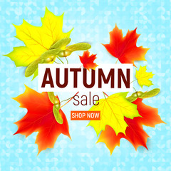 Sales banner with maple autumn leaves. Sales banner with maple autumn leaves on blue background. Vector illustration