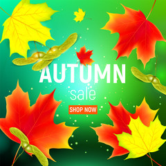 Sales banner with maple autumn leaves. Sales banner with maple autumn leaves on green background. Vector illustration