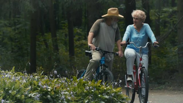 Two pensioners with bicycles are talking in the park