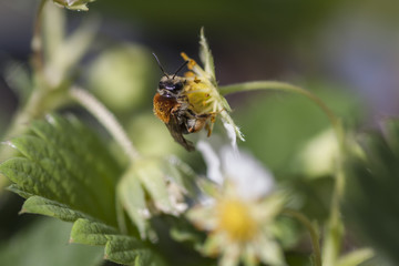 are you looking at me