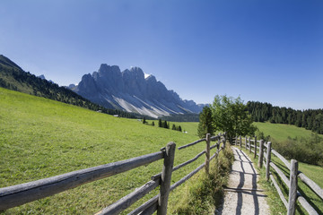 Fototapeta na wymiar Almwiese mit Blick auf Geislergruppe in Südtirol