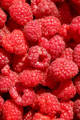 close up of summer fresh organic fruits raspberry .