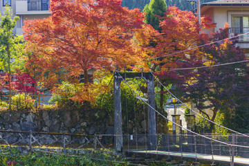 京都　八瀬の紅葉
Kyoto Autumn Landscape No.1