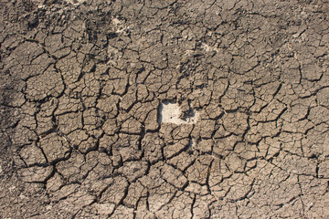 dry soil