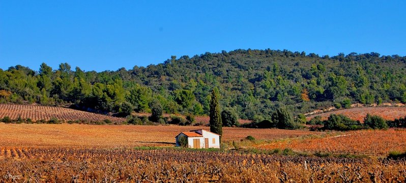 paysage proven&ccedil;al