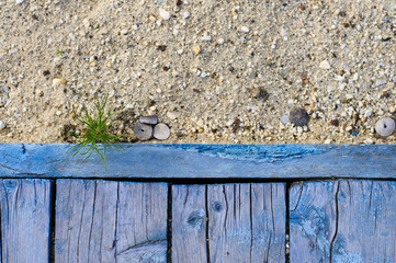 Sandy beach and blue wood trail