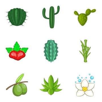 Vegetation icons set, cartoon style
