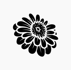 Black Shape of Marigold Flower