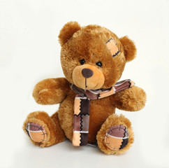 brown toy bear on white background