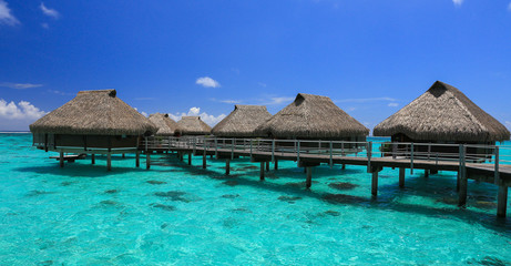 Moorea