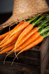 Fresh organic carrot