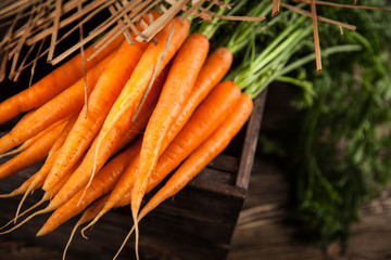 Fresh organic carrot