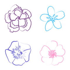Set of flower outlines on a white background, Vector illustration