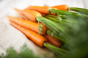 Fresh organic carrot