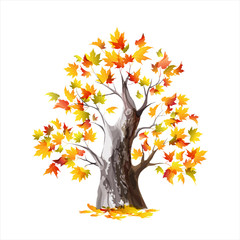 Autumn maple tree isolated on a white background