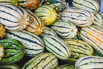 Squash in a container at fresh market