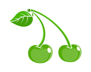 Green Cherries Vector