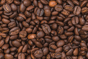 Coffee beans arranged on a table