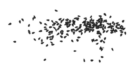 Pile of black cumin seeds isolated on white background, top view