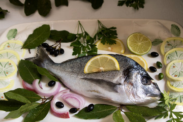 Frische Dorade mit Lorbeerblättern auf Servierplatte