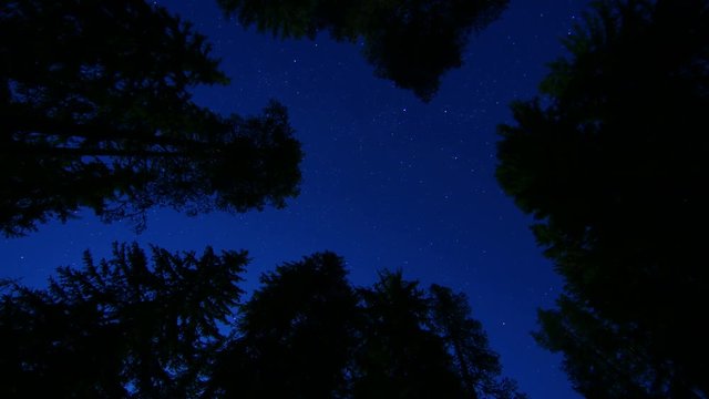 Stars Sky Turning Space Time Lapse, mountain pine forest