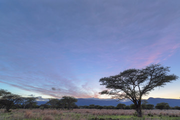 Fototapeta premium Pink colored clouds before sunrise
