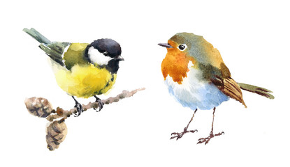 Robin and Tit Two Birds Watercolor Hand Painted Illustration Set isolated on white background - 172445466