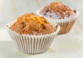 chocolate muffins in paper cupcake holder
