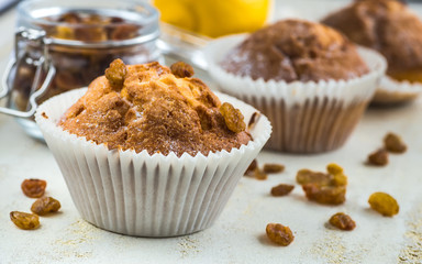 chocolate muffins in paper cupcake holder