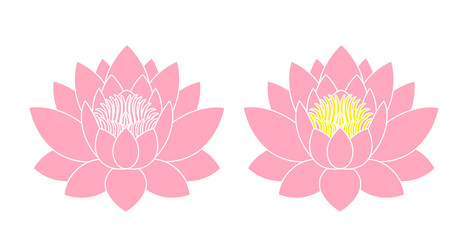 Lotus flower. Isolated lotus on white background