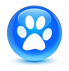 Obraz premium Animal footprint icon glassy cyan blue round button