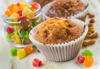 chocolate muffins in paper cupcake holder
