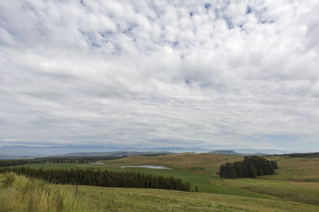 Fototapeta na wymiar Green grass and white clouds at Drakensberg